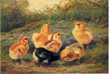 unknow artist chickens 196 France oil painting art